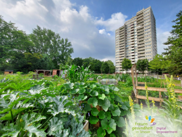 Neue Handreichung zum Thema Gesundheitsförderung für alleinerziehende Frauen*